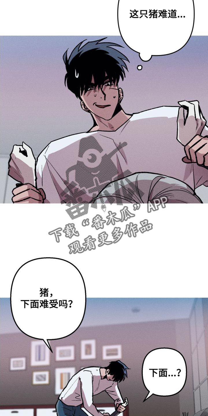 相杀相畏相恶相反的含义漫画,第20话3图