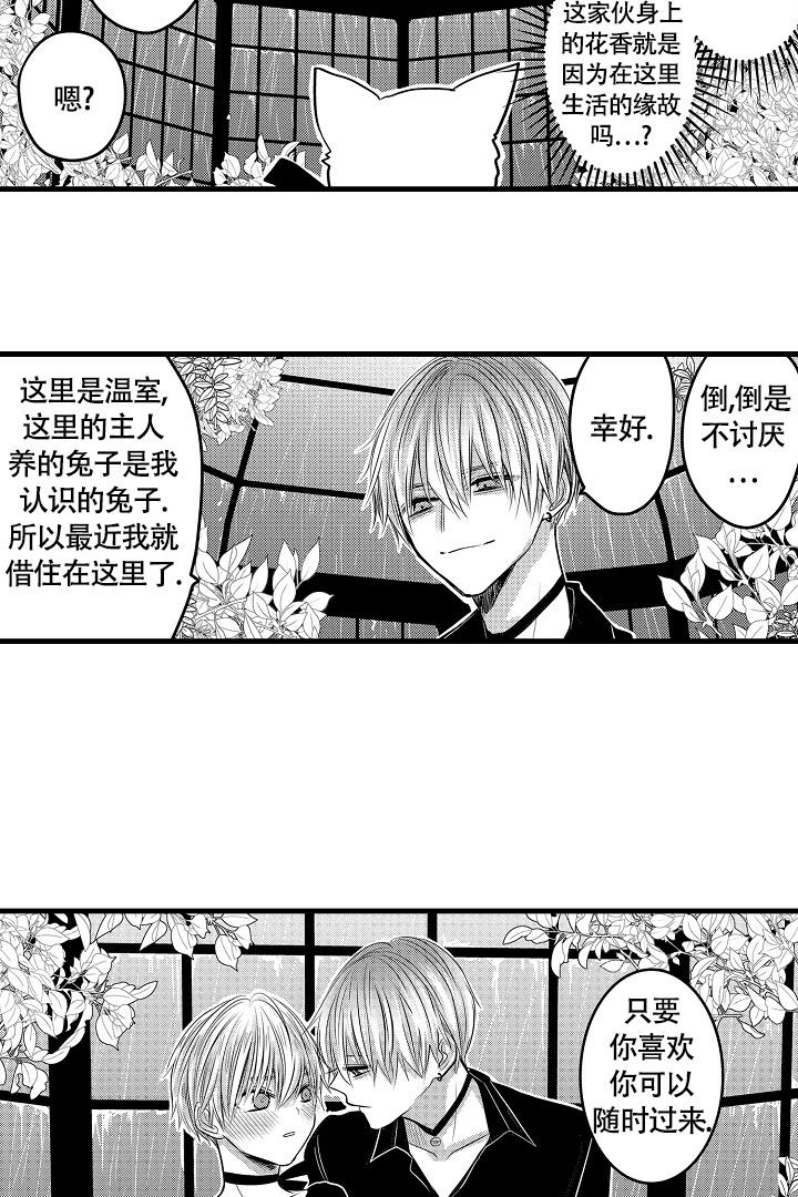 不眠之夜张杰星穹铁道漫画,第3话1图