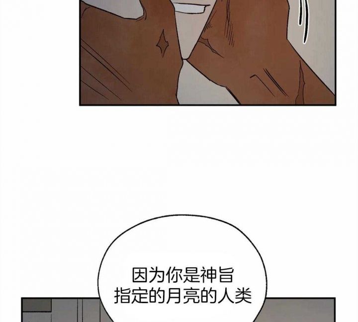 血之诅咒全集解说漫画,第42话1图