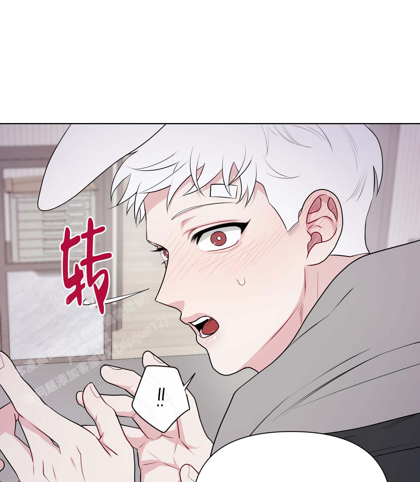 兔耳惊喜漫画免费漫画,第13话5图