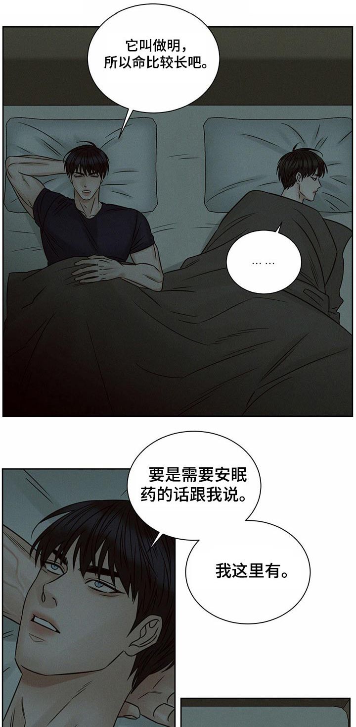 即使你不爱我英文歌漫画,第116话1图