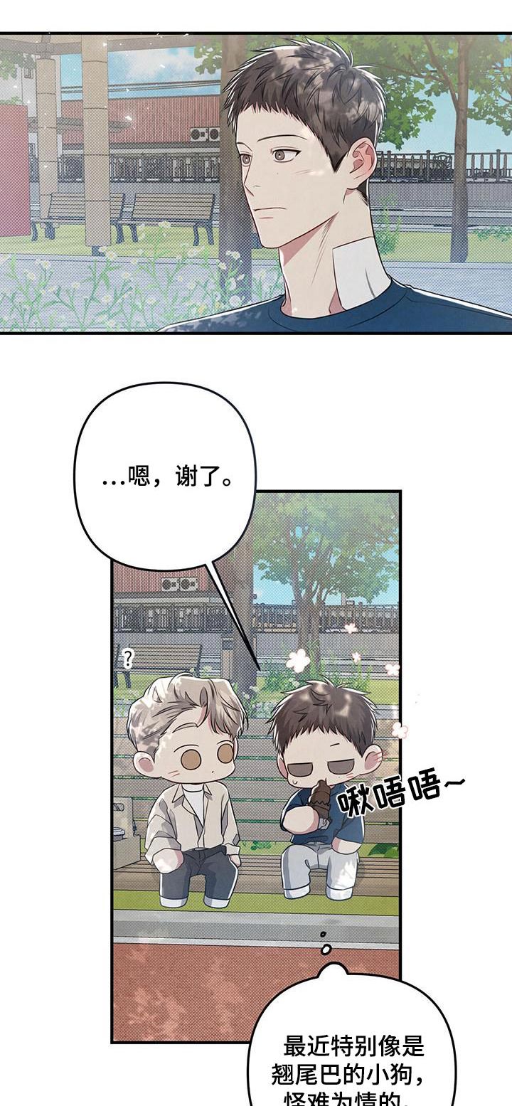 强行分离会怎么样漫画,第55话1图