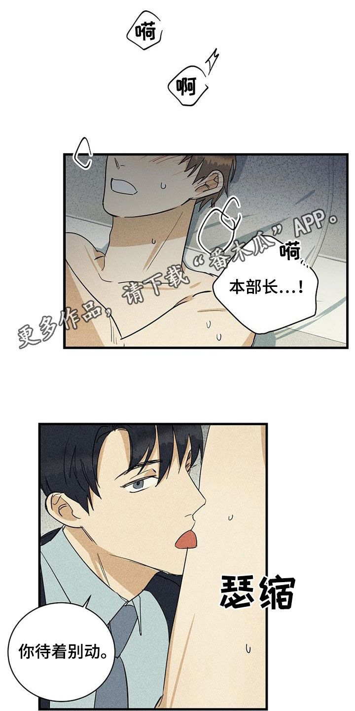 慢性房颤消融漫画,第32话1图