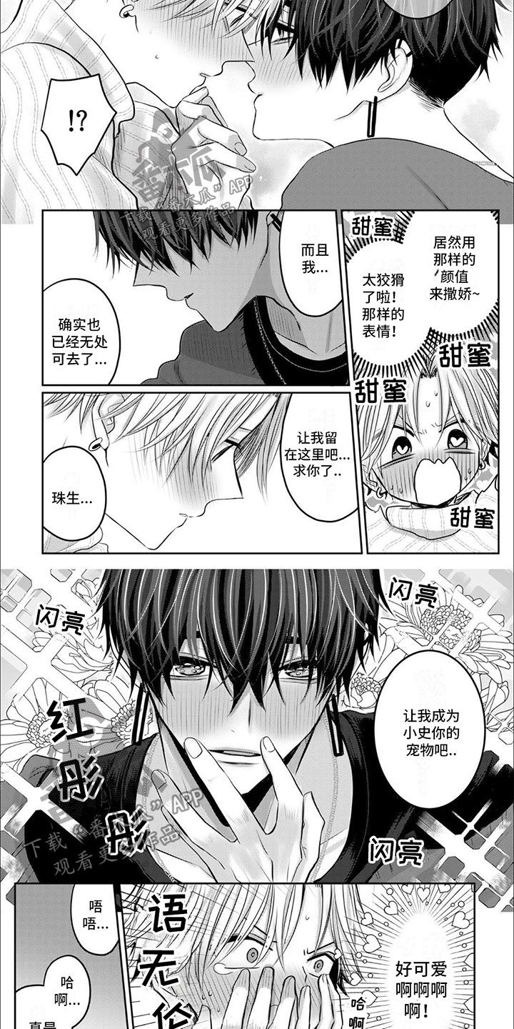 宠物爱人漫画,第4话4图