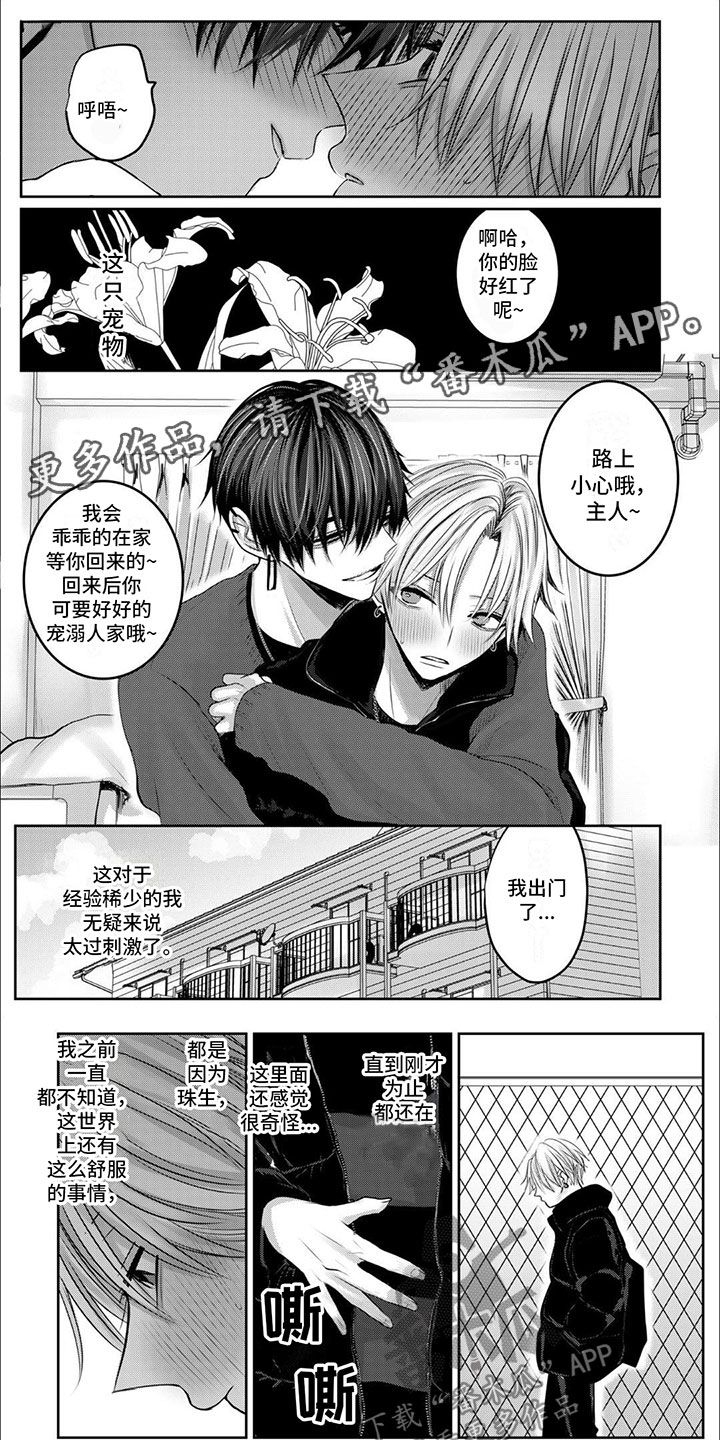 宠物爱人模特讲课漫画,第6话1图