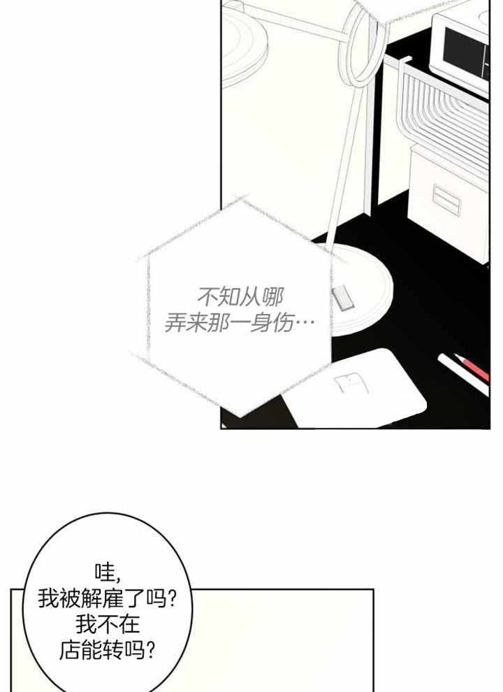 炒过的豆子会发芽吗漫画免费阅读漫画,第121话5图