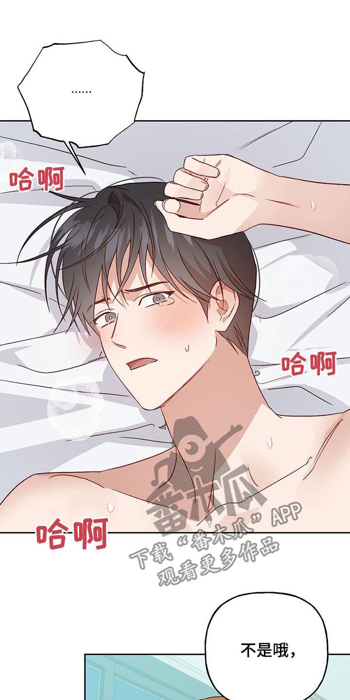 兜帽男是什么意思漫画,第63话2图