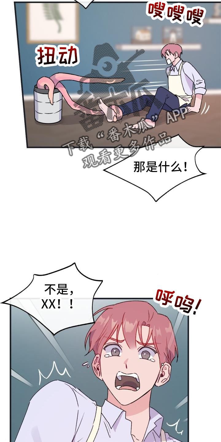 危险不乱尝图片漫画,第19话3图