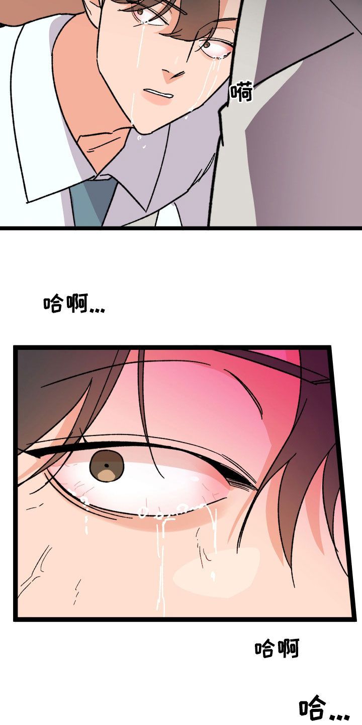 诅咒之恋小说漫画,第80话5图