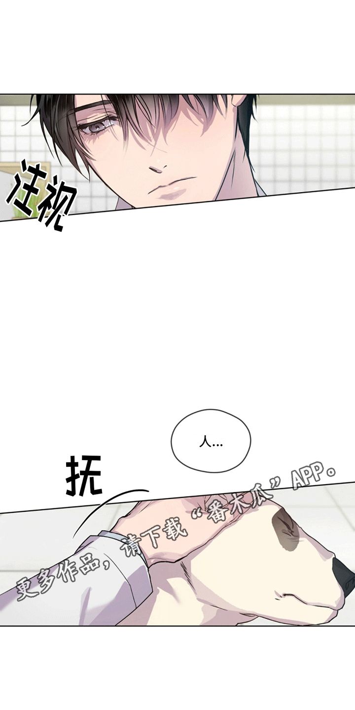 记忆断层能恢复么漫画,第5话1图