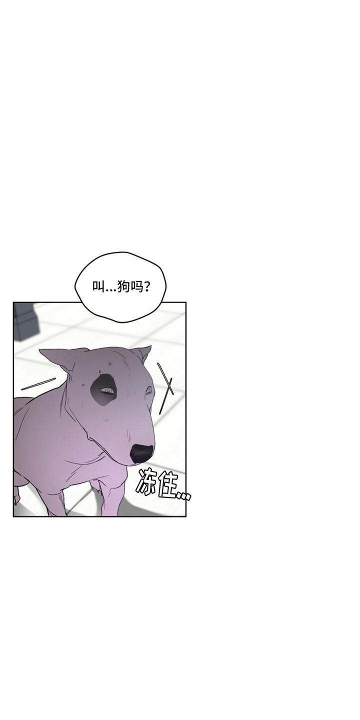 记忆断层能恢复么漫画,第3话5图