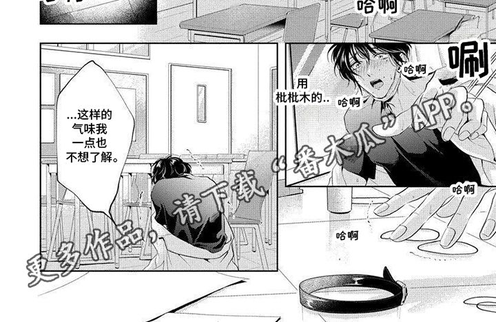 安心的气息在哪里可以看漫画,第5话1图