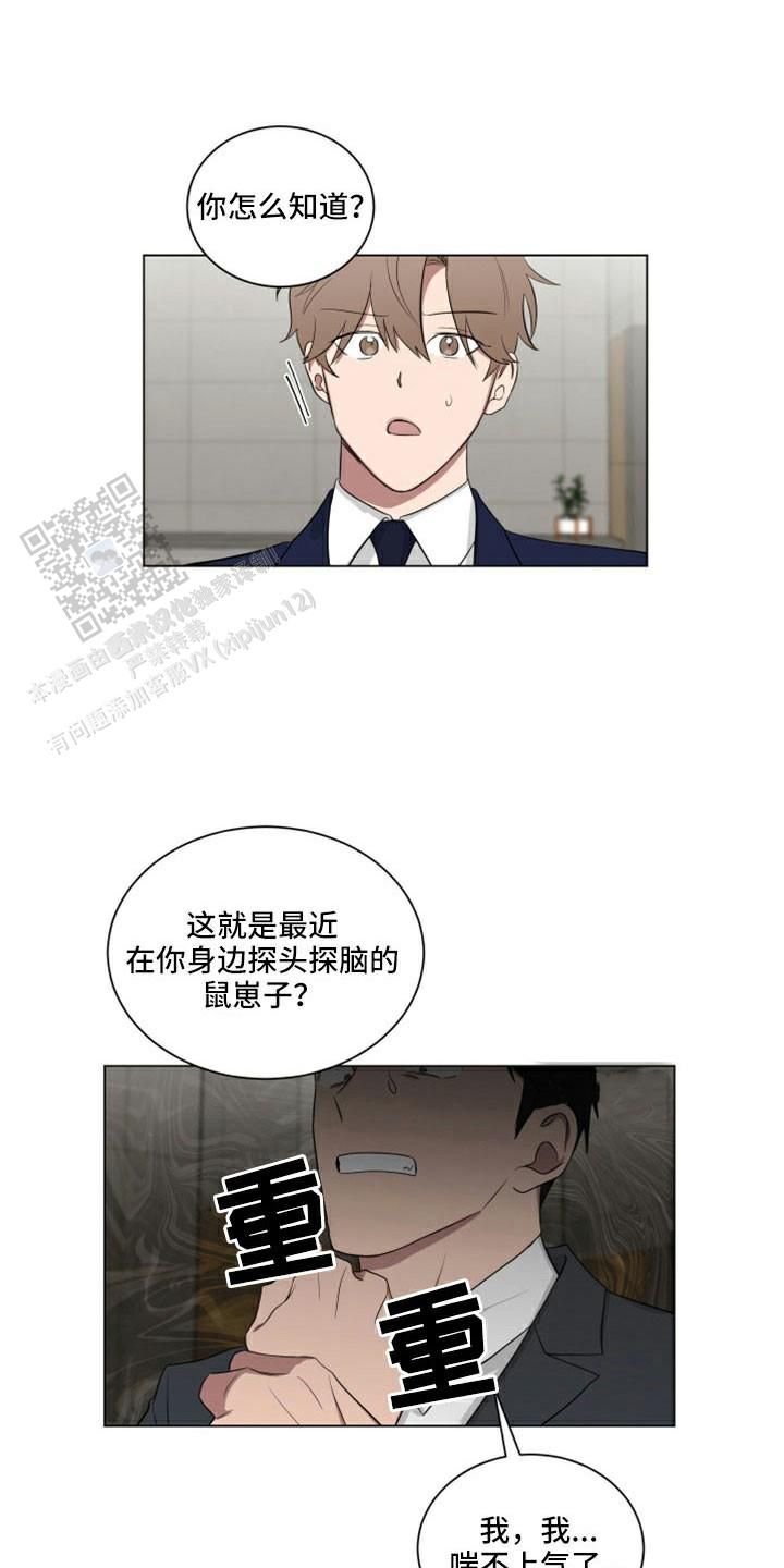 如果和黑帮老大恋爱的话漫画,第46话1图