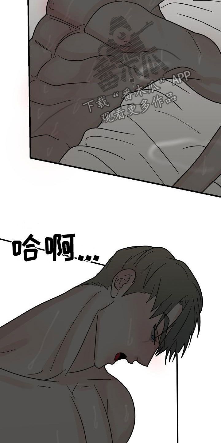 恶贯满盈打一动物漫画,第43话5图