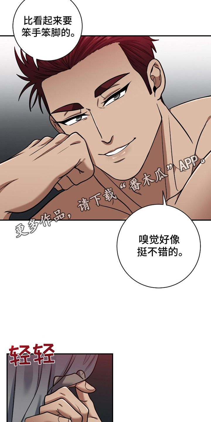 公爵的另一面最新话漫画,第8话5图