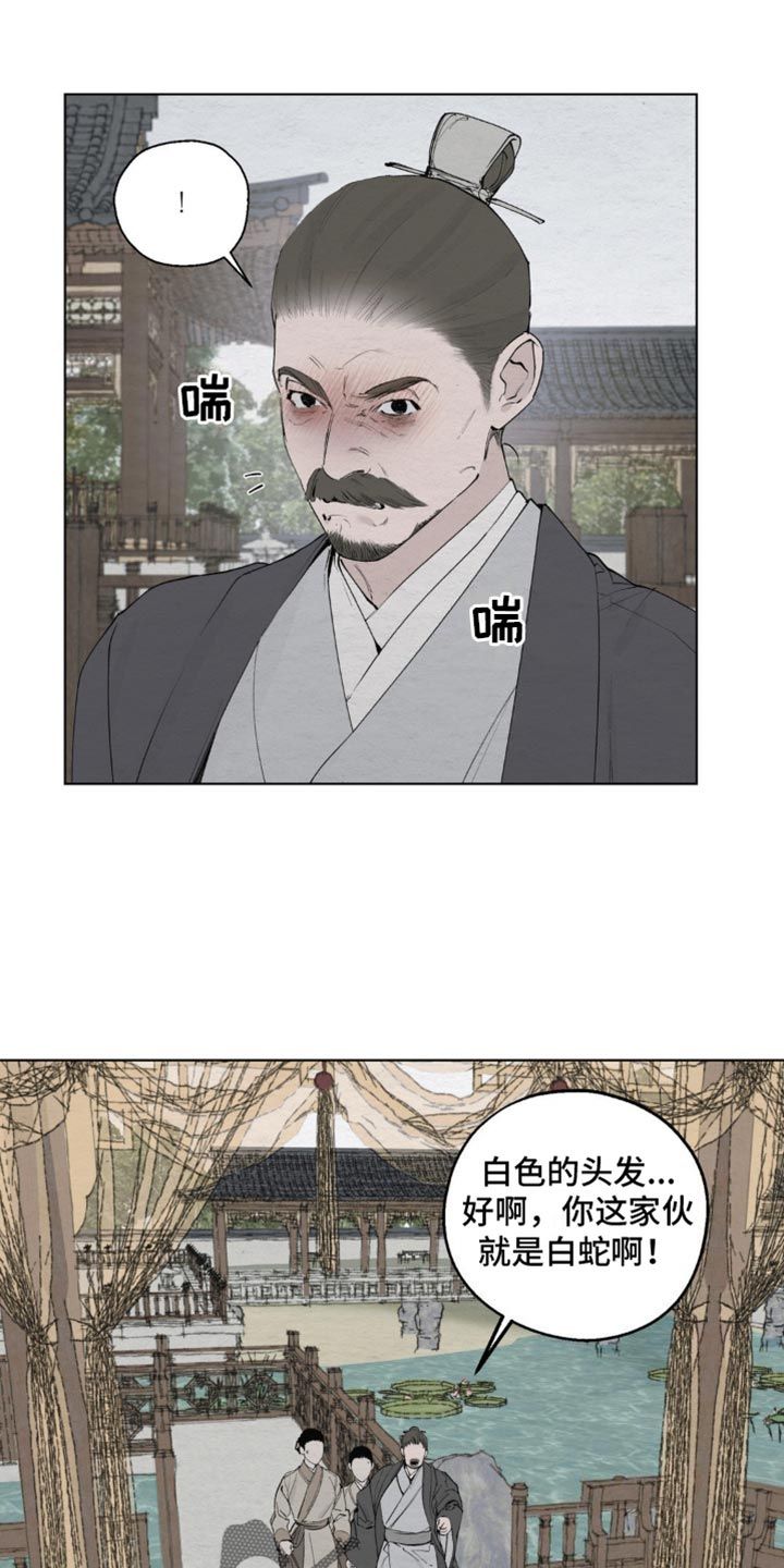 龙魂蛇影漫画完整版免费阅读看画漫画,第10话3图