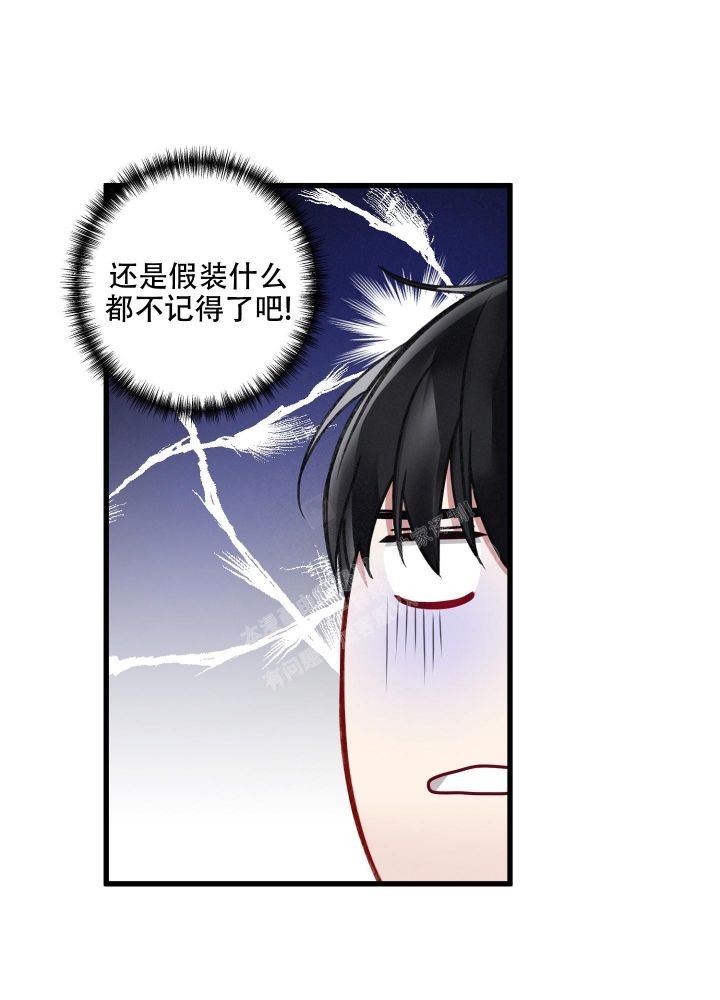 不起眼向导的平凡日常韩漫在哪看漫画,第91话1图