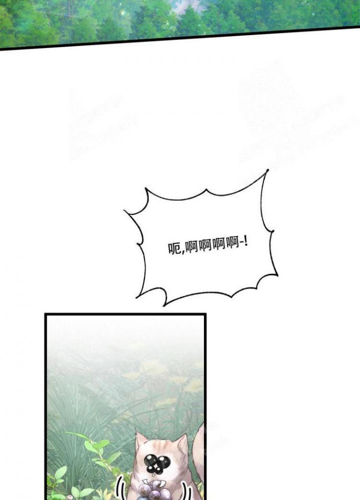 不起眼向导的平凡日常漫画免费下拉式漫画,第43话2图