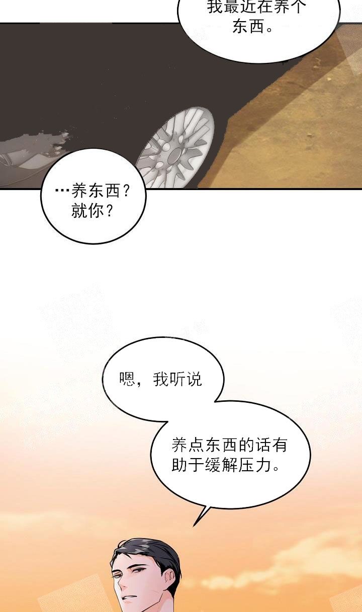 老板的小宝贝免费观看漫画,第14话2图