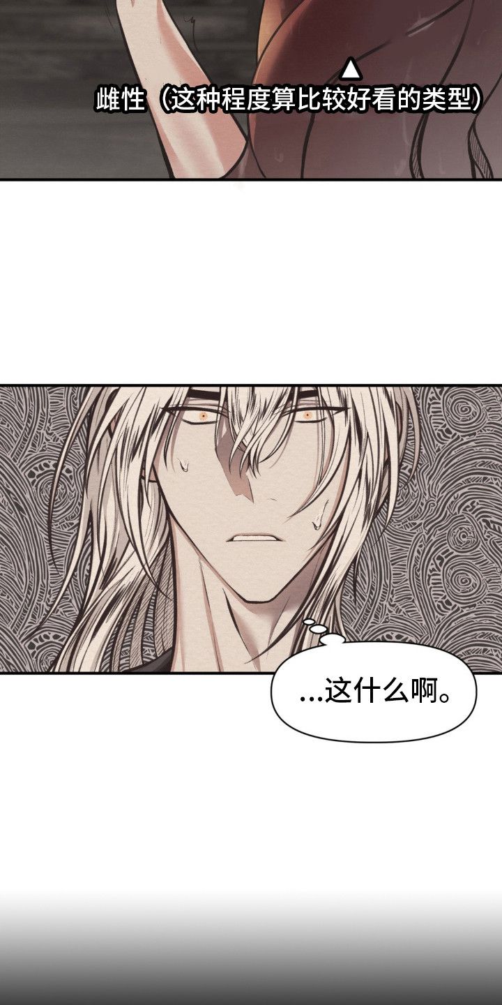 魔塔秘事韩漫又叫什么漫画,第11话2图