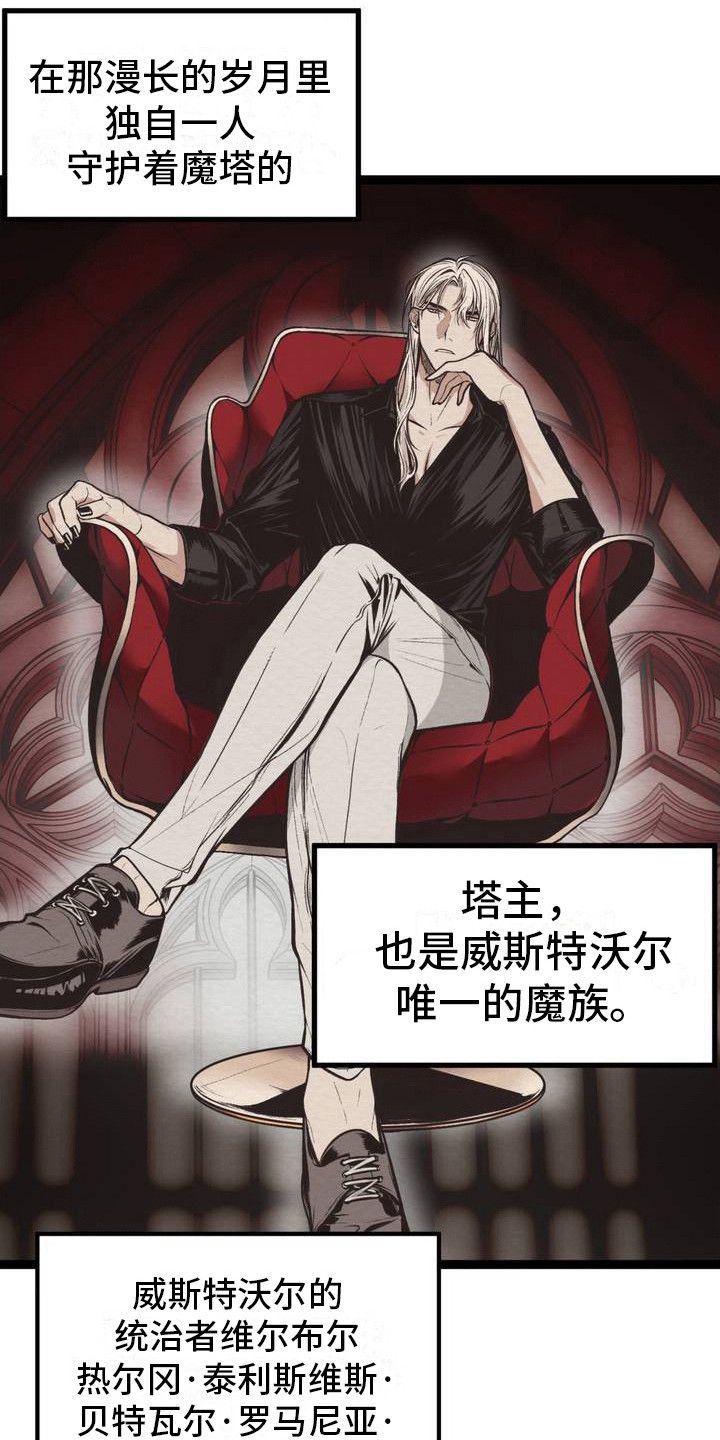 魔塔秘事韩漫又叫什么漫画,第2话3图