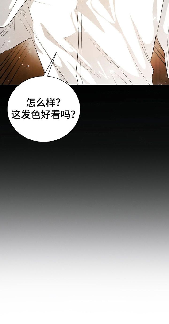 坏苹果xs手机回收报价漫画,第20话2图