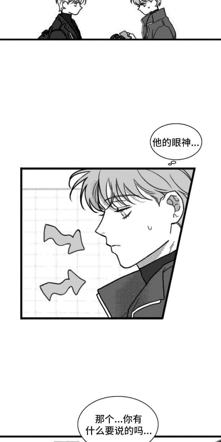 疯狂金龟车在线观看完整版电影漫画,第13话5图