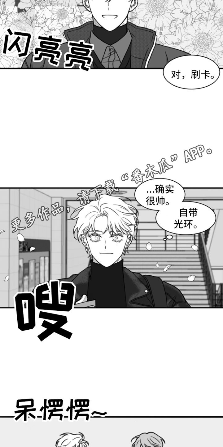 疯狂金龟车迅雷下载漫画,第13话4图