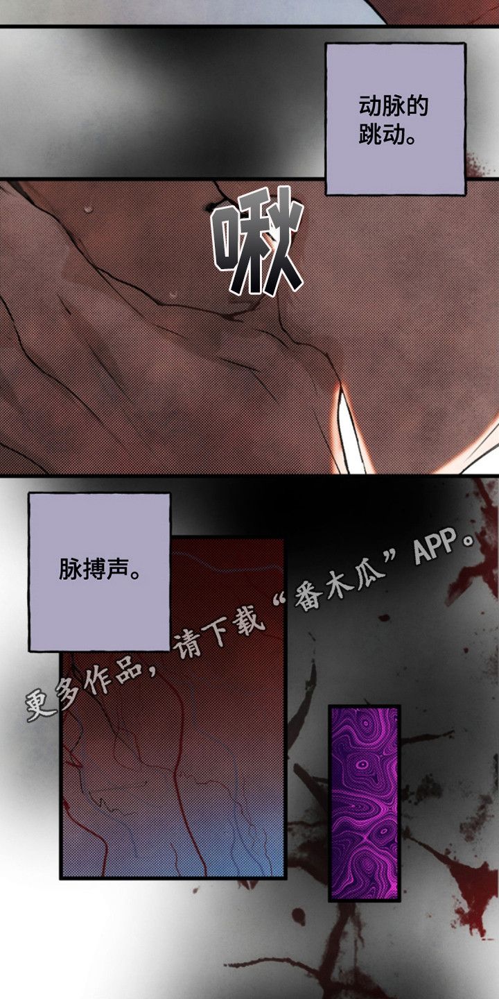 信徒圣痕漫画,第13话5图