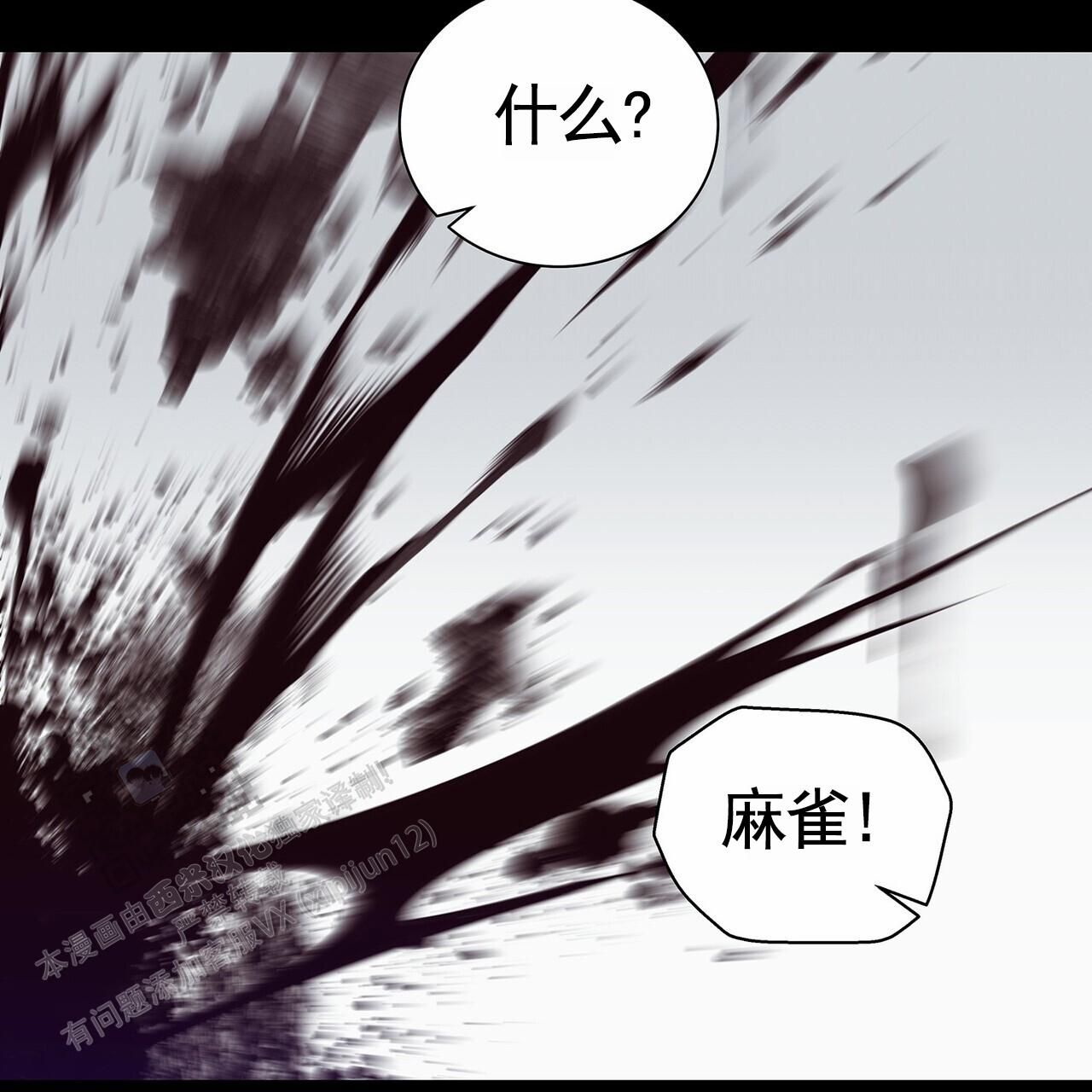 蓝色骗局下拉式漫画,第29话3图