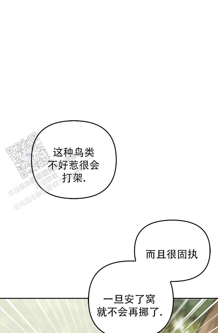 雷家四杰漫画,第18话4图