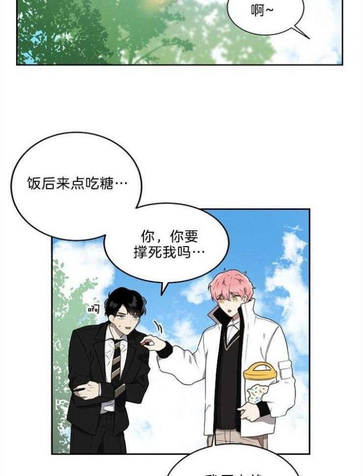 十米内禁止靠近漫画,第17话1图