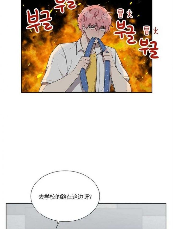 十米内禁止靠近漫画,第69话1图