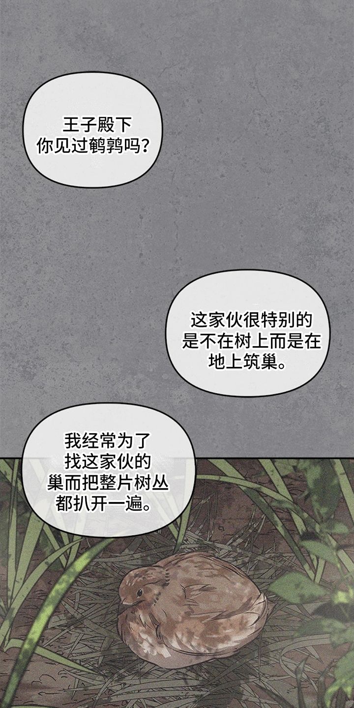 驯龙秘诀别名漫画,第21话2图