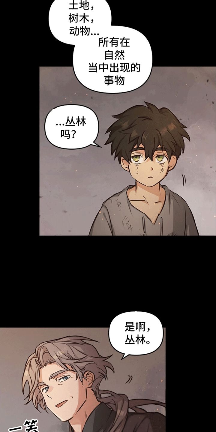 驯龙秘诀动漫漫画,第22话4图