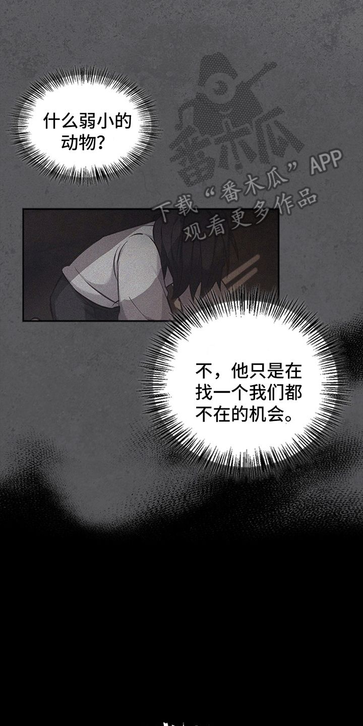 驯龙秘诀韩漫主角叫什么漫画,第19话5图