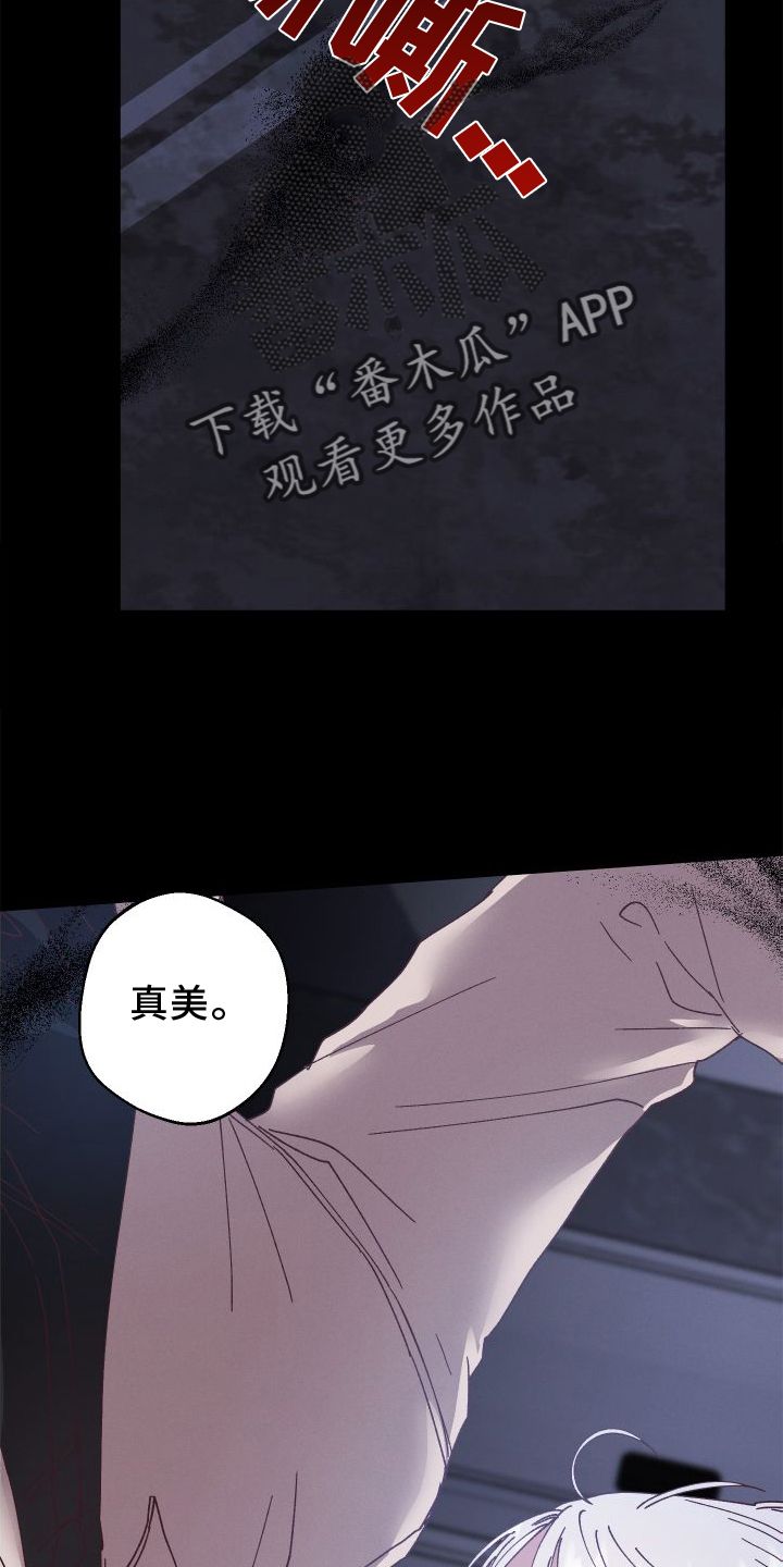 金虎刹邪是双洁吗漫画,第54话5图