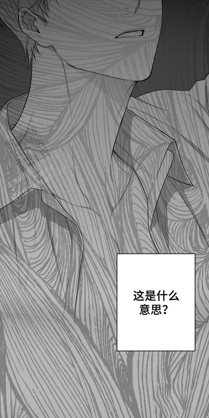 合作和博弈漫画免费观看漫画,第36话4图