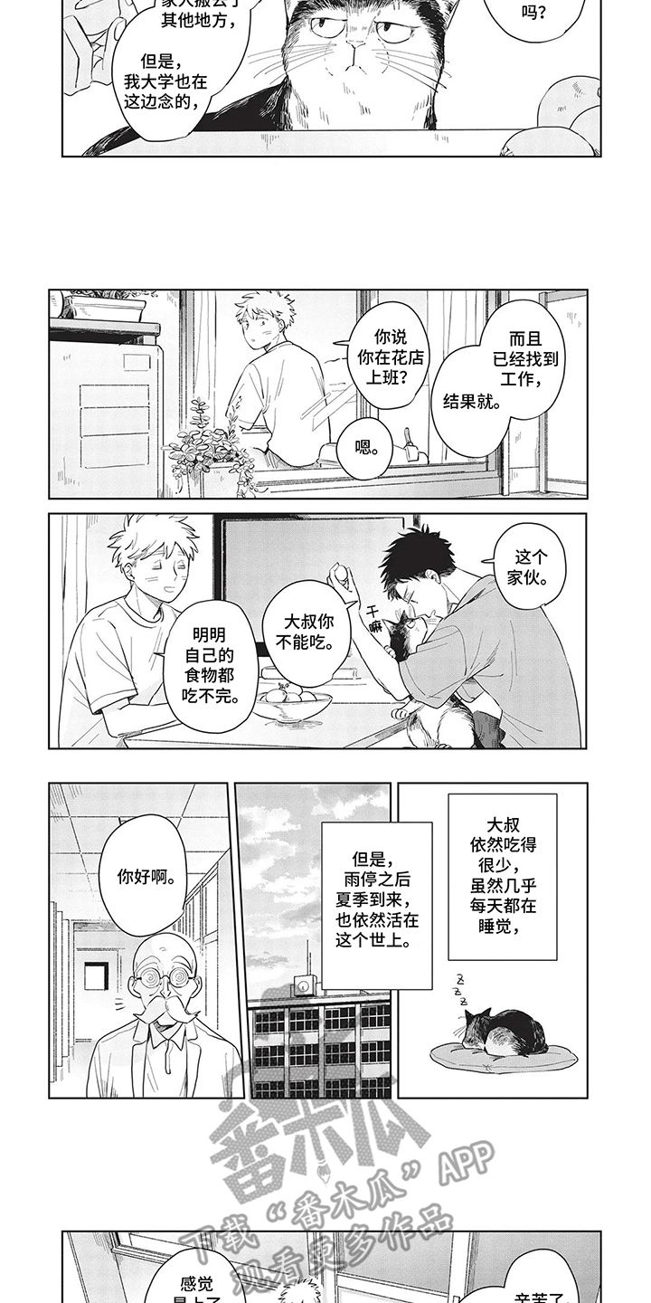 辛辣的指什么漫画,第11话3图