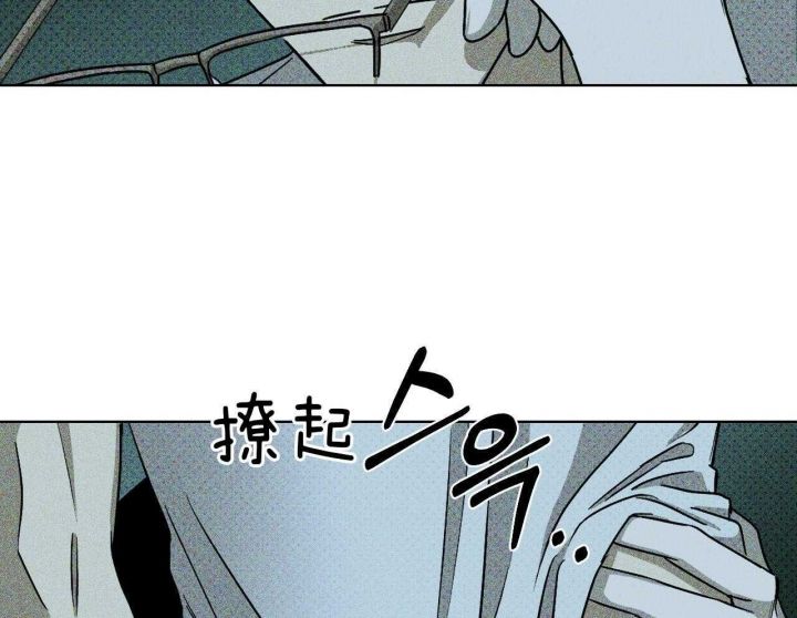 绿色镌像主角名字漫画,第37话3图