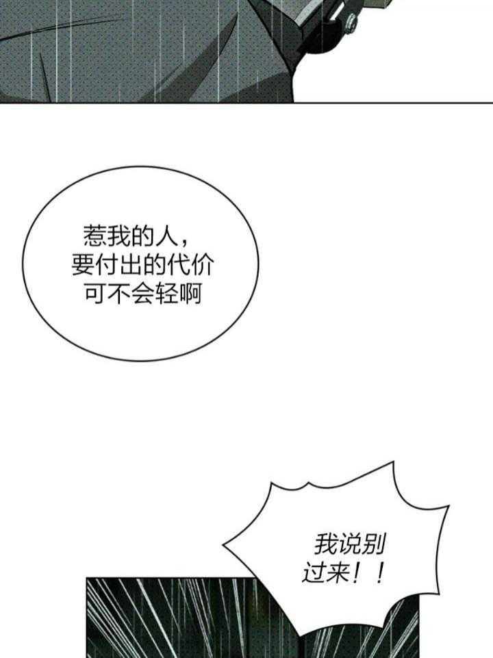 绿色镌像漫画完结了吗漫画,第91话3图