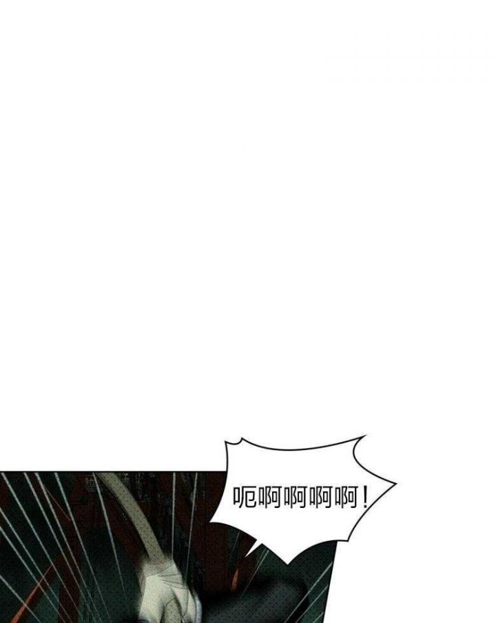 绿色镌像车在哪章漫画,第88话4图