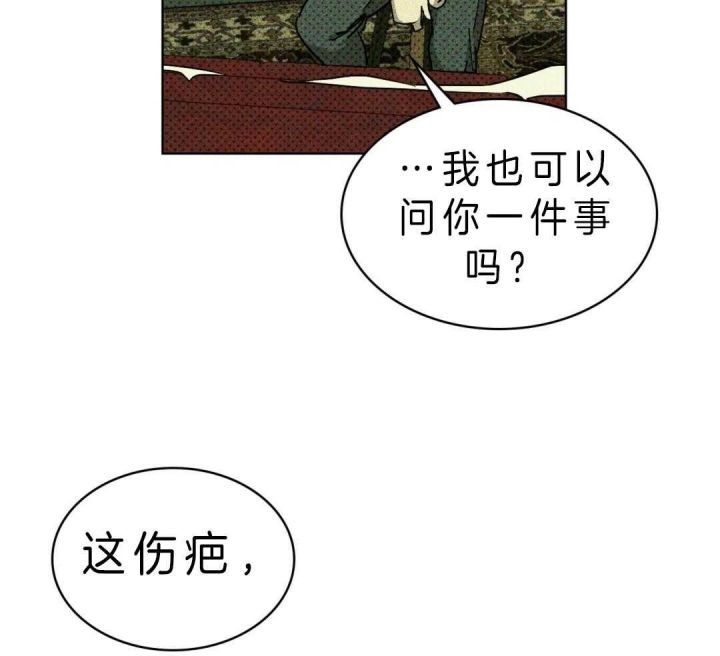 绿色镌像车在哪章漫画,第18话4图