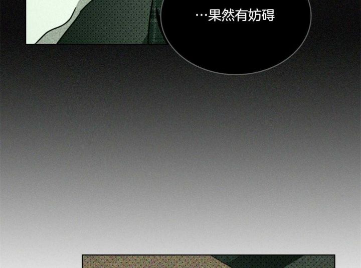 绿色镌像2漫画,第49话5图