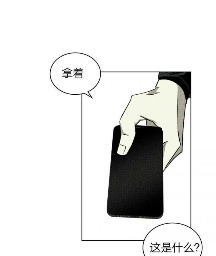 绿色镌像漫画漫画,第84话2图