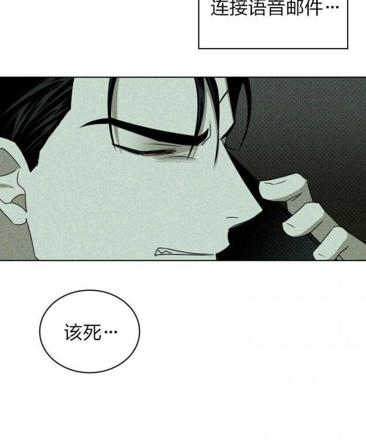 绿色镌像漫画完结了吗漫画,第88话3图