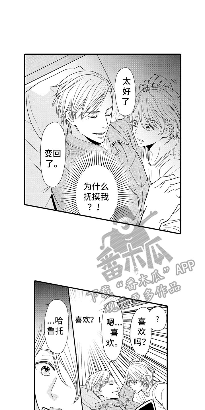 毛茸茸的偏爱漫画,第11话1图