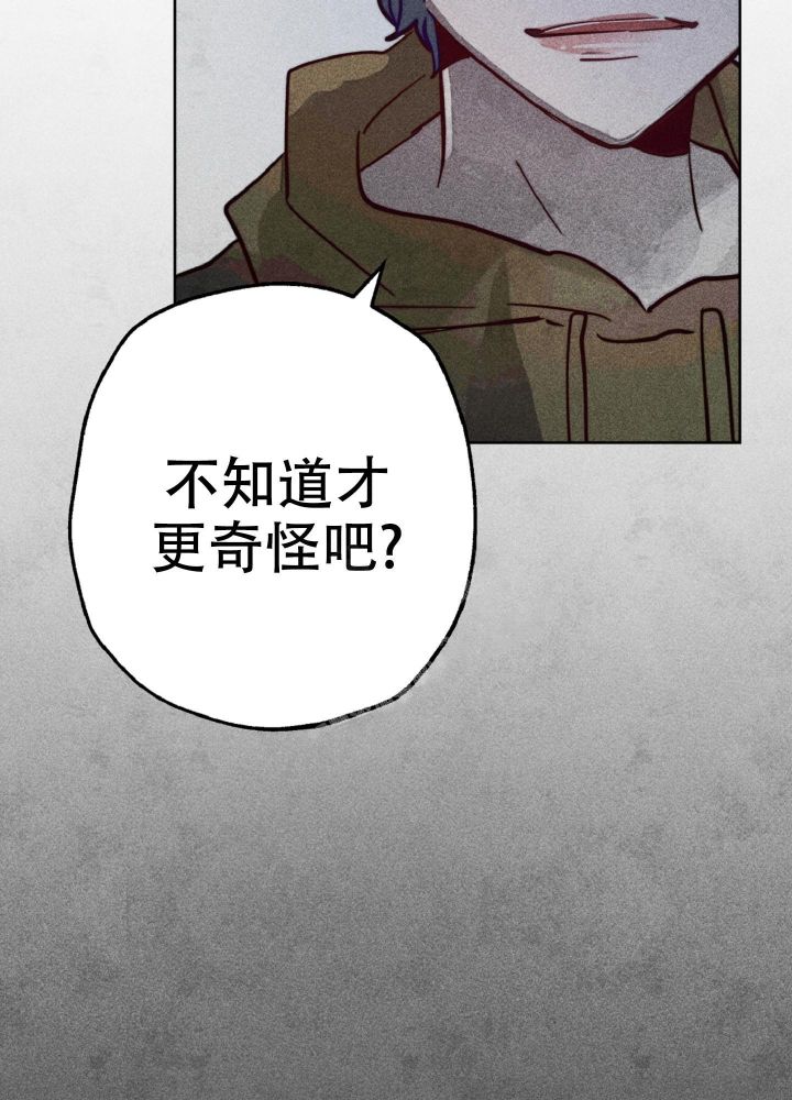 初恋中的少女们漫画,第5话4图