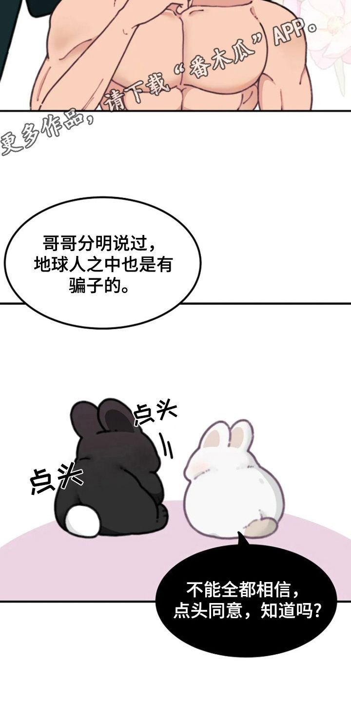 兔子王国简笔画漫画,第8话5图