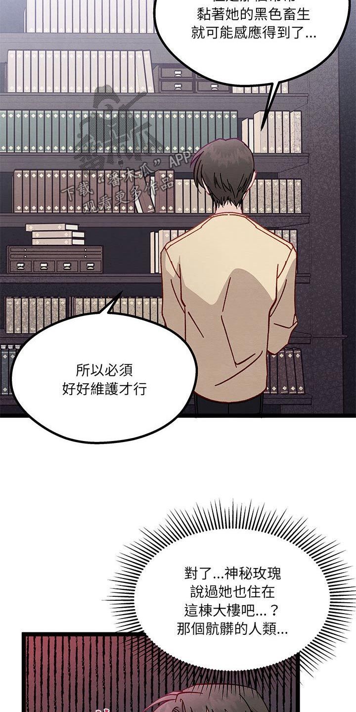 他和她的秘密大结局漫画,第46话3图